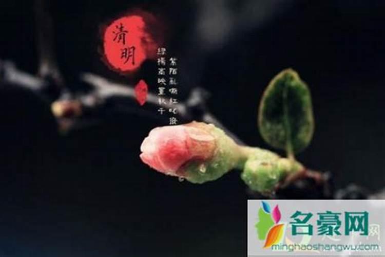 一年到底几次财神节啊？