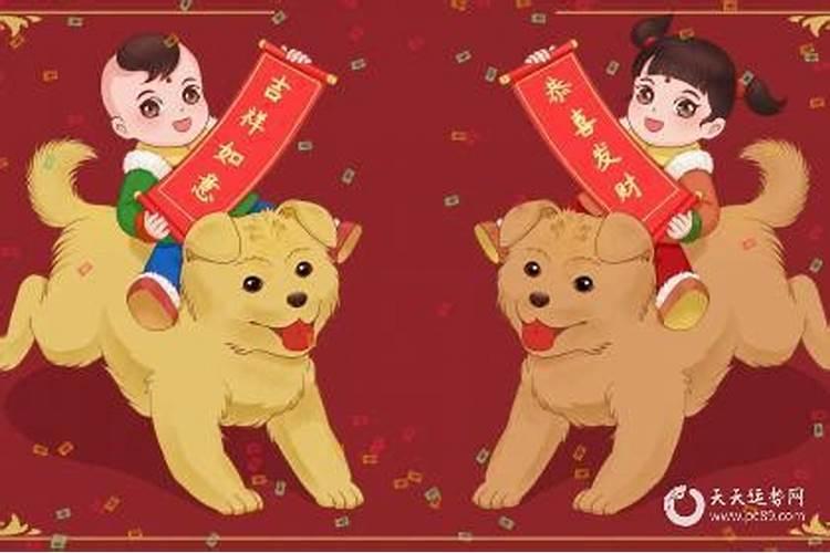 1982年出生的属狗人终身财运如何？