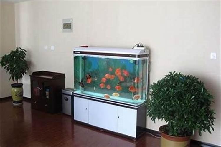 招财风水布局有用吗？