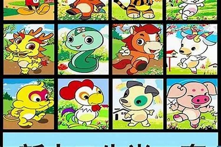 属鼠和属蛇的八字怎么样 六合吗？