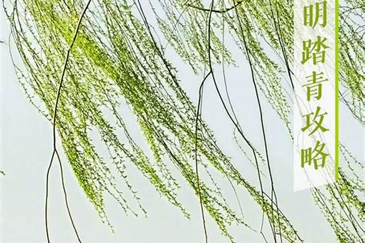 清明节重庆自驾游去哪好玩？重庆周边自驾游必备攻略