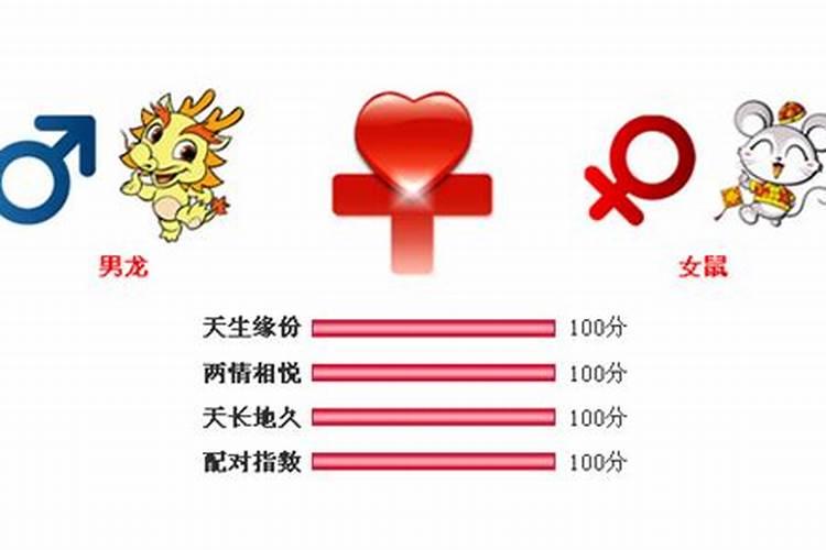 男鼠与女龙结婚好不好,鼠和龙的婚姻怎么样？