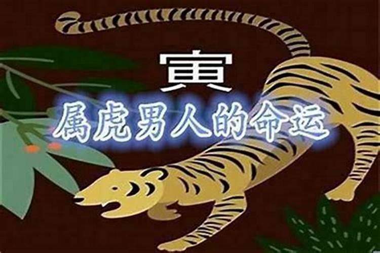 属兔的本命年佩戴什么吉祥物