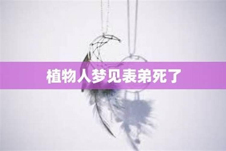 梦见好久不见的表弟预示着什么