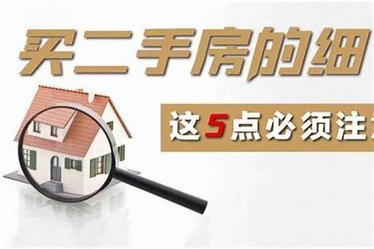 属虎2025年运势及运