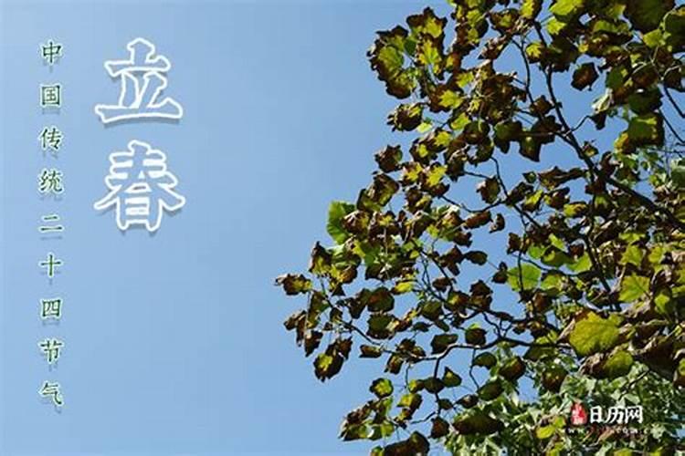 立春当天出生属相问题