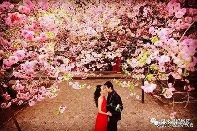 怎么可以挽回前女友的心