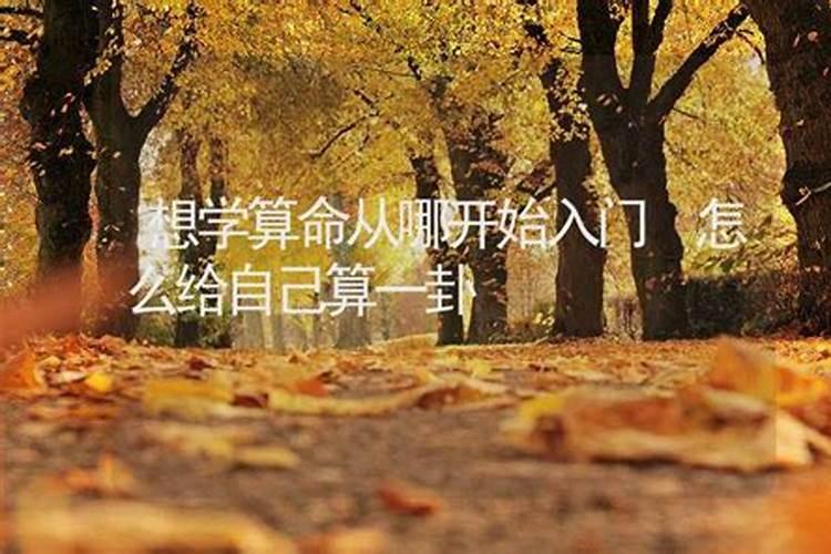 我想学算命去哪学啊？