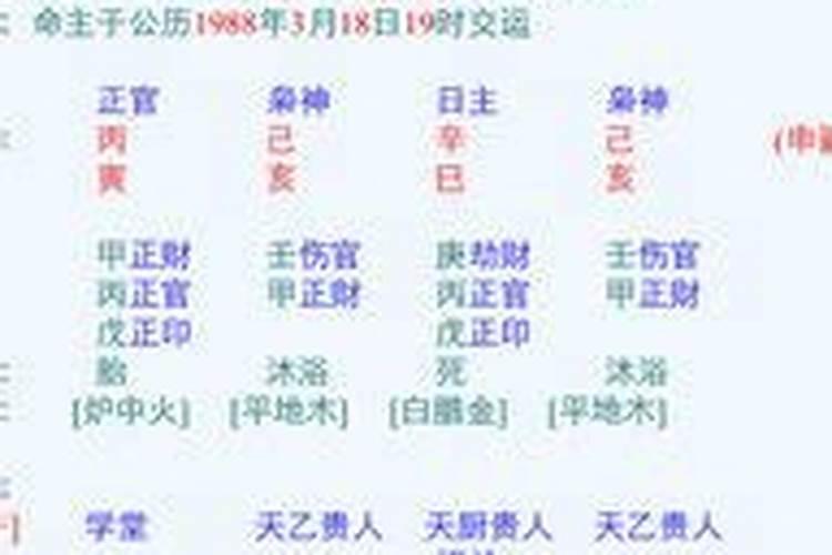 四柱八字详解