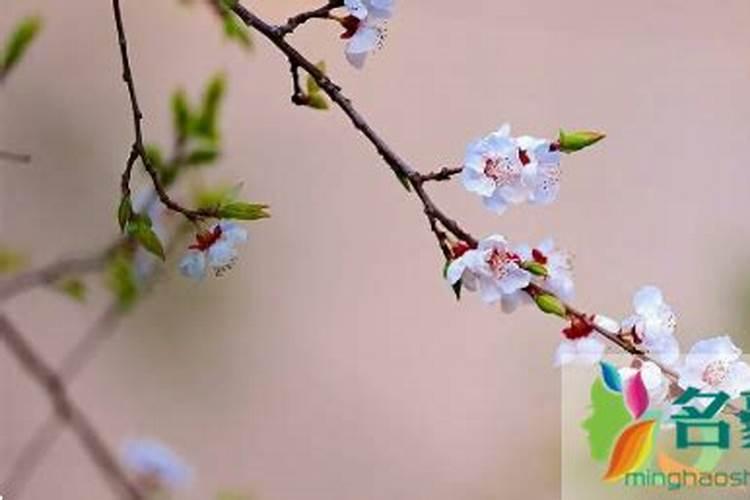 冬至和夏至是什么意思