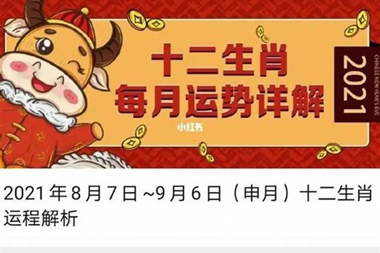 生肖猪2025年运势及运程