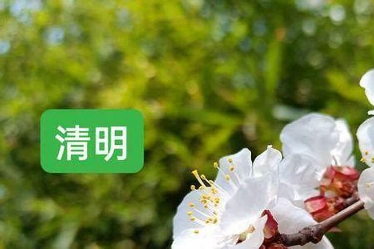 梦见和家人一起在地里干农活的预兆