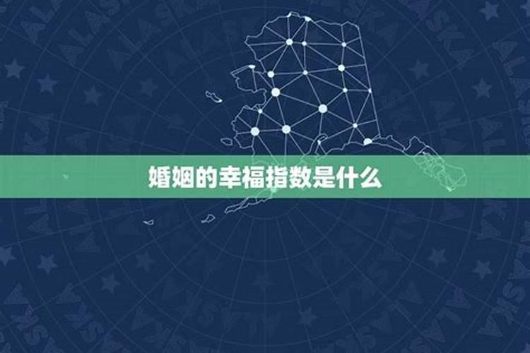 03年属什么生肖？
