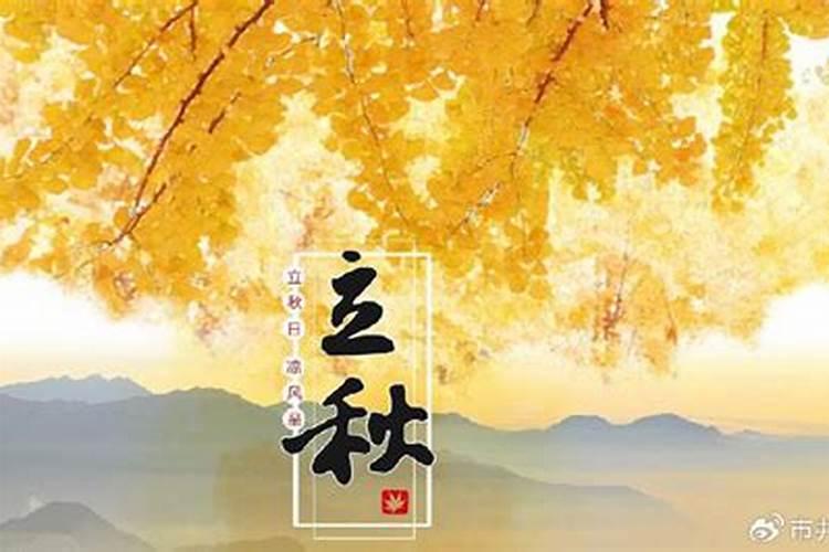 转运适合戴什么手链