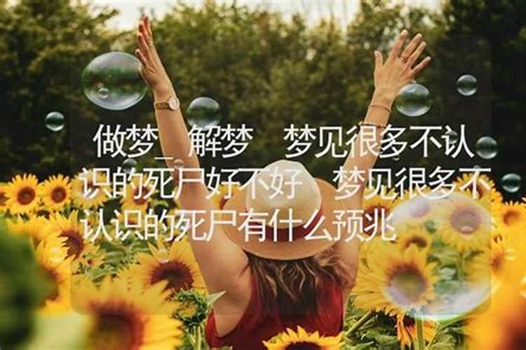 梦见很多人不理我