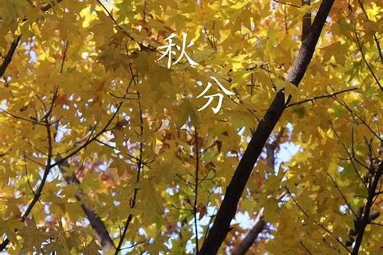 过冬至有什么讲究