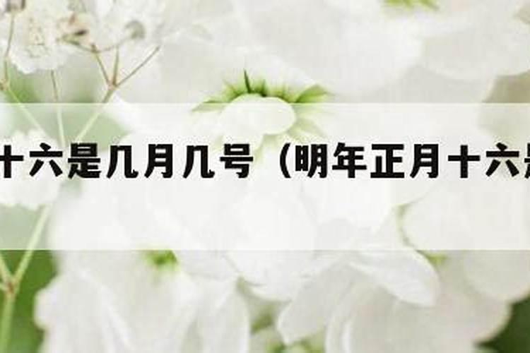 正月初一是几月几号