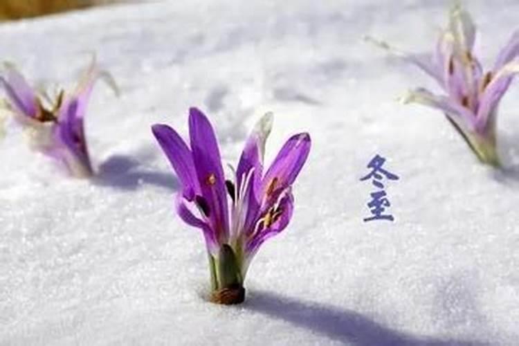 冬至为什么不能过生日