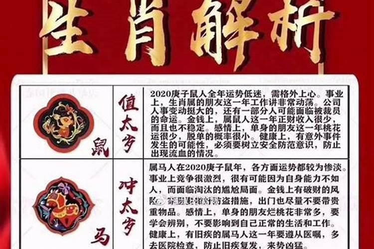 属蛇女和属猴男的婚姻配吗
