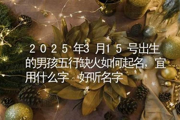 泰迪狗刚生出几天后睁眼