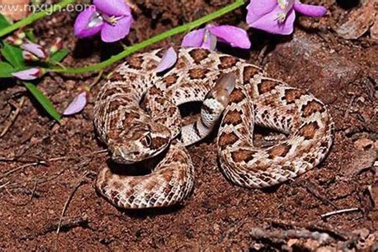 立夏应注意什么？