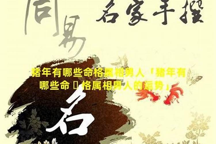 79年属羊女在2025年的运势和财运