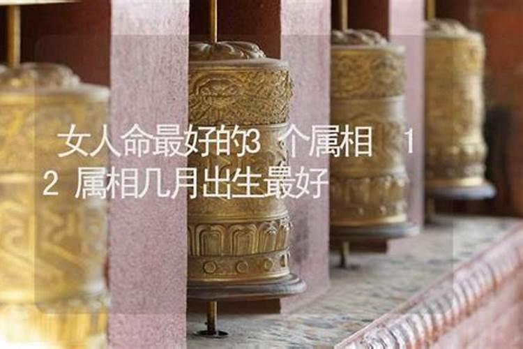 中国富豪什么属相最多