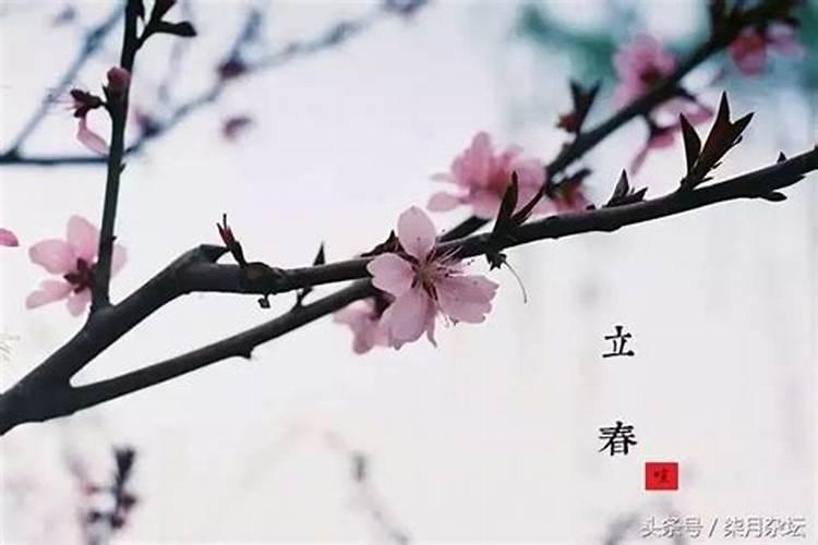 男虎女羊的属相合不合