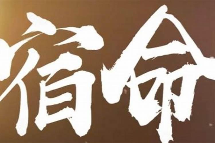 女兔和什么属相最配