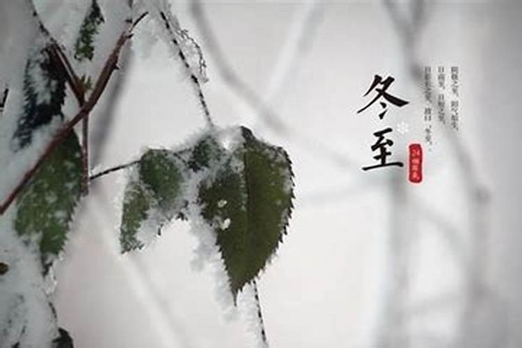 2025年属龙犯太岁最凶的四大生肖