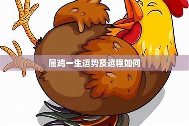 1993年九月初九上午9时47分出生的男孩命运