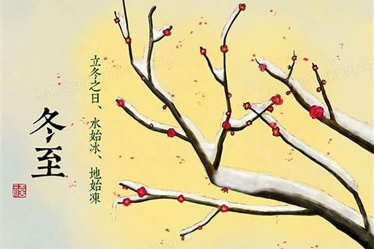 九六年鼠女配什么属相好,1996年属鼠女孩的婚姻
