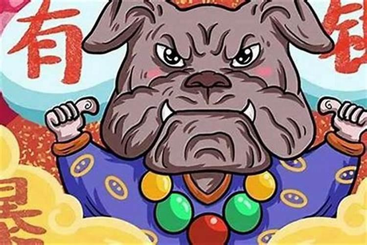 农历11月份出生的属狗人命运