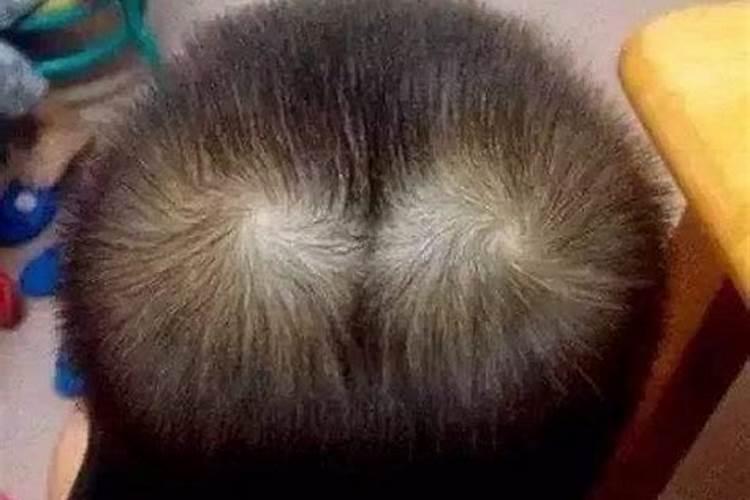 什么是三合局 什么是三会局 什么是六合局