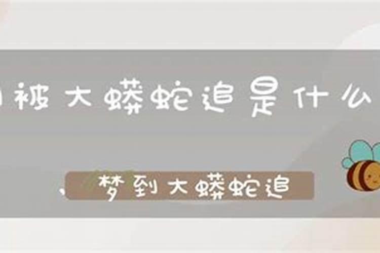 什么是童子锐阳