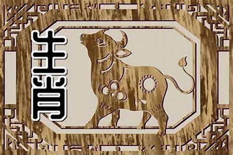 属牛和属牛的合不合婚姻 属牛人生肖婚配？