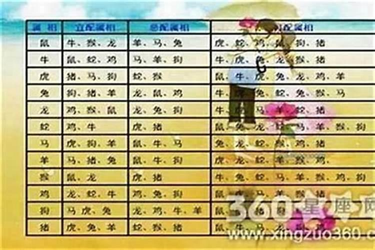 属牛的和什么属相最配婚姻最合适