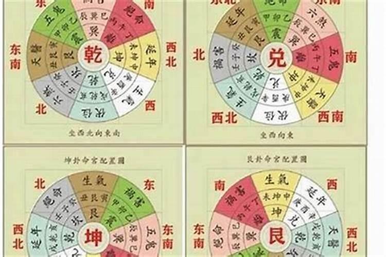 2025年立春躲春的禁忌属相