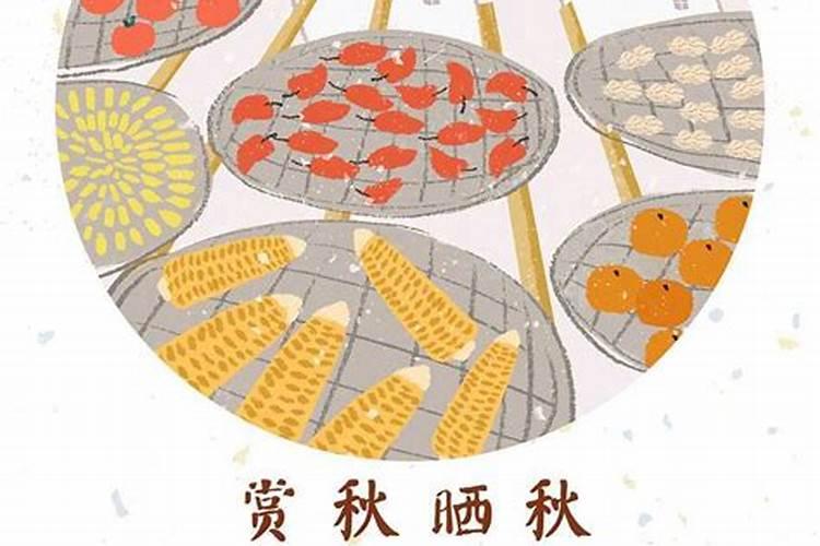 算命先生说姻缘的台词