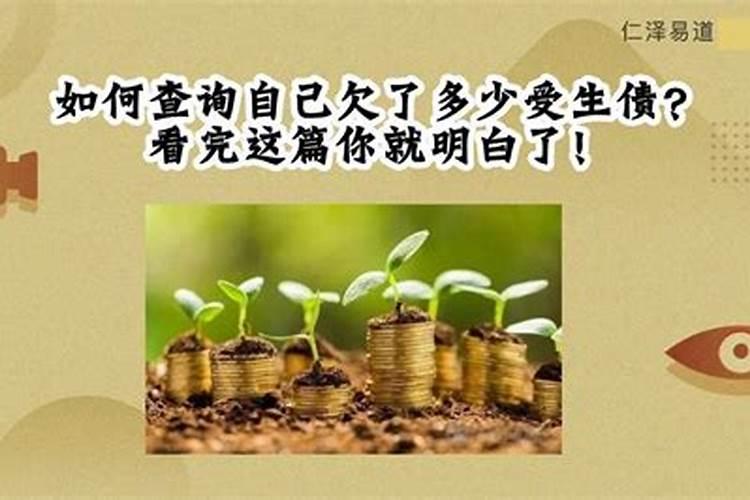 立春当天要吃什么