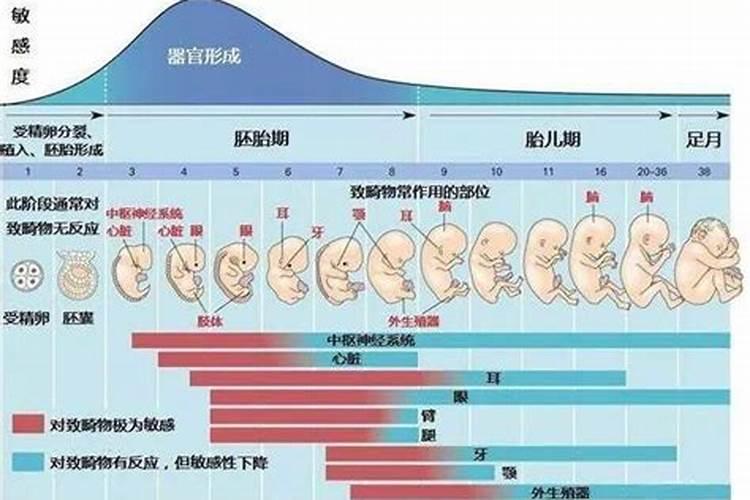 生辰八字中的日柱怎么计算的,方法？