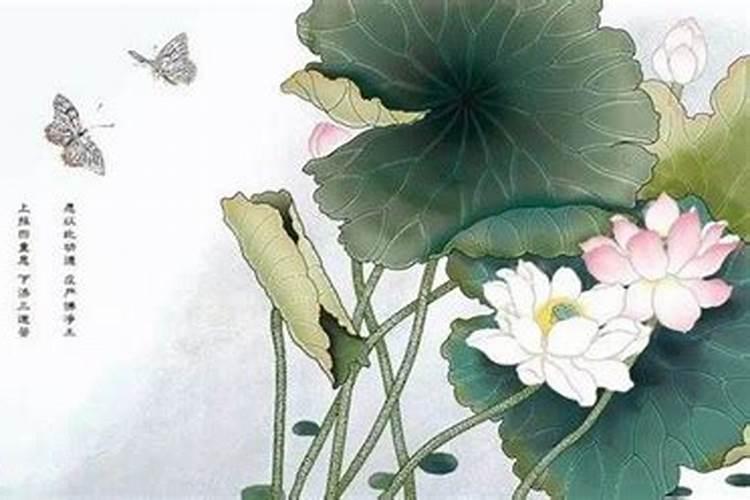 小财神摆件适合放在哪里