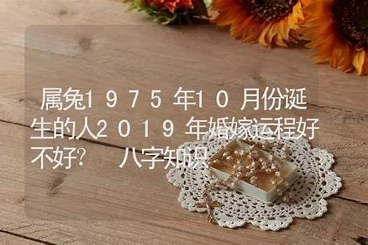 1973年属牛和什么属相最配 1973年属牛最佳配对