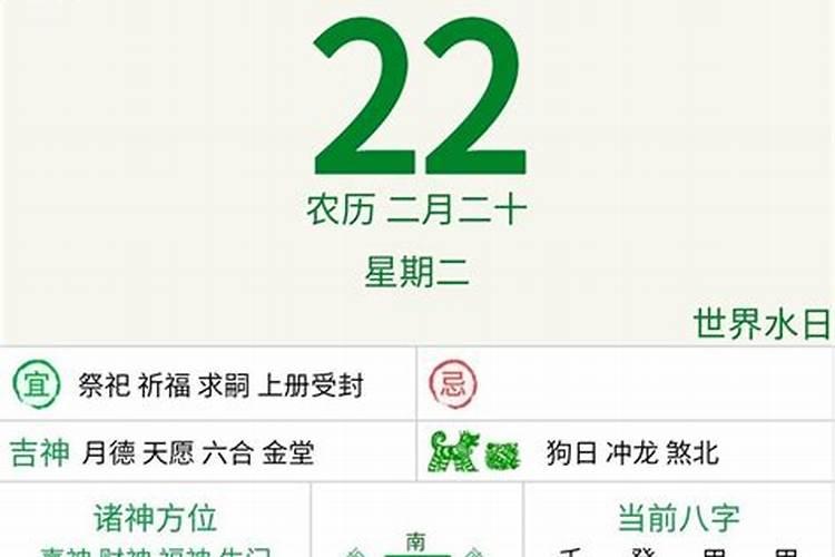 属鼠跟兔合得来吗