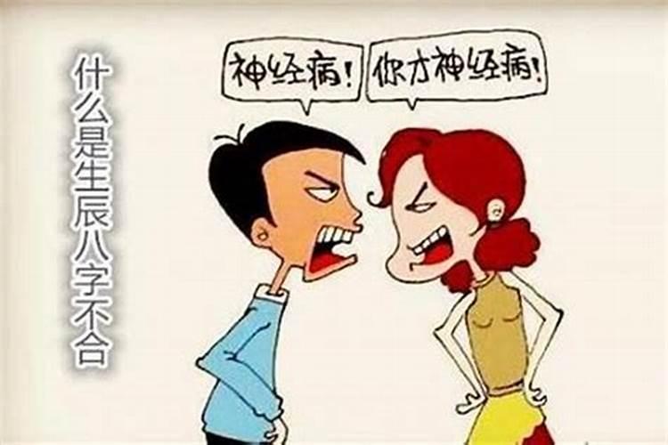 夫妻八字四柱相冲子孙运比较差