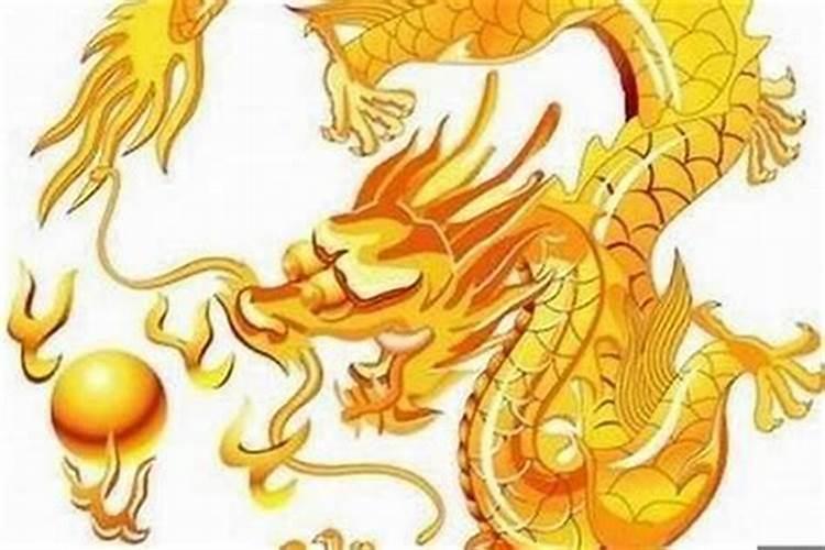 男龙和女龙的婚配属相好吗