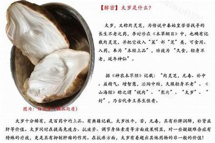 属兔和属马合不合得来？