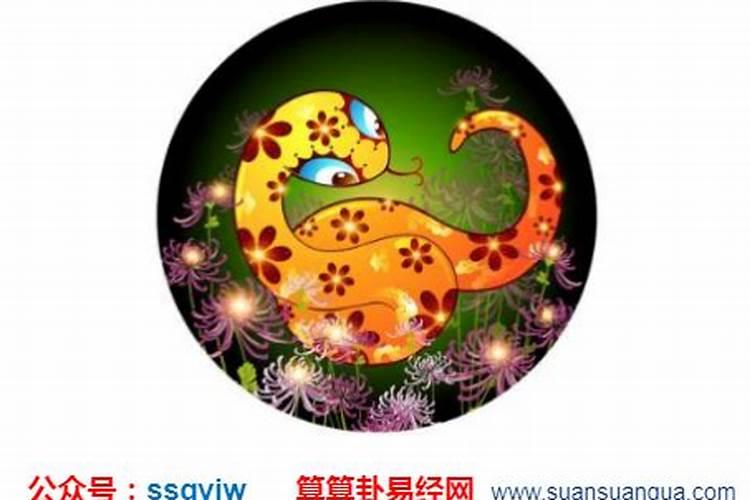 如何看四柱八字详解与分析