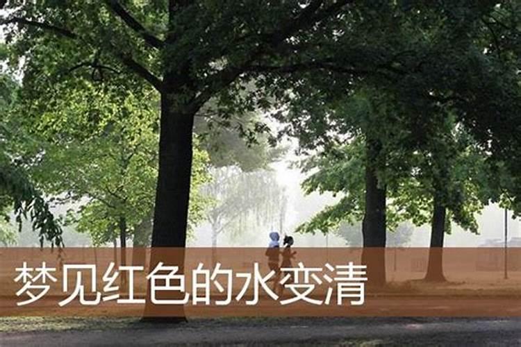 梦见红色河水