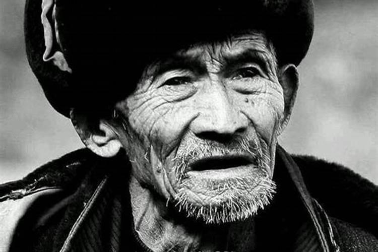 梦到老牛是什么意思
